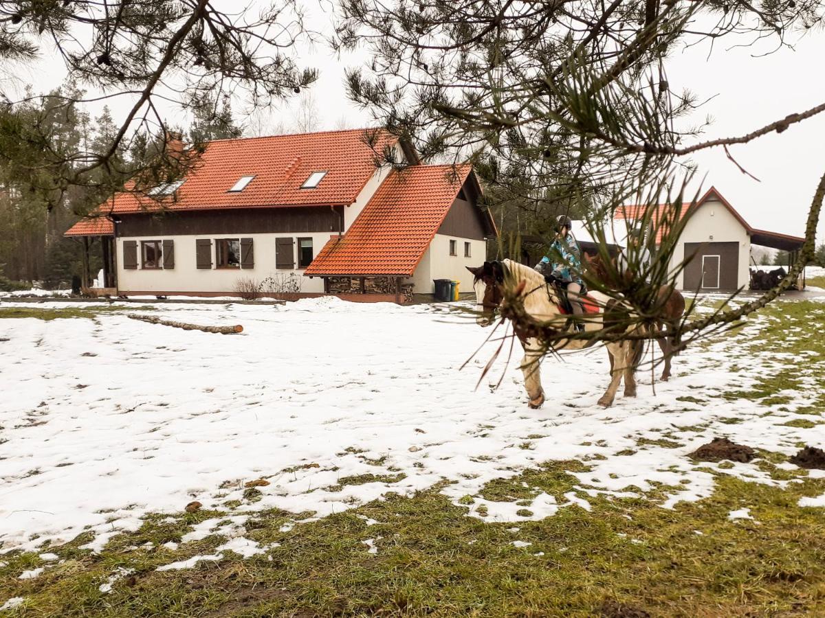 Przytulisko Stara Kiszewaヴィラ エクステリア 写真